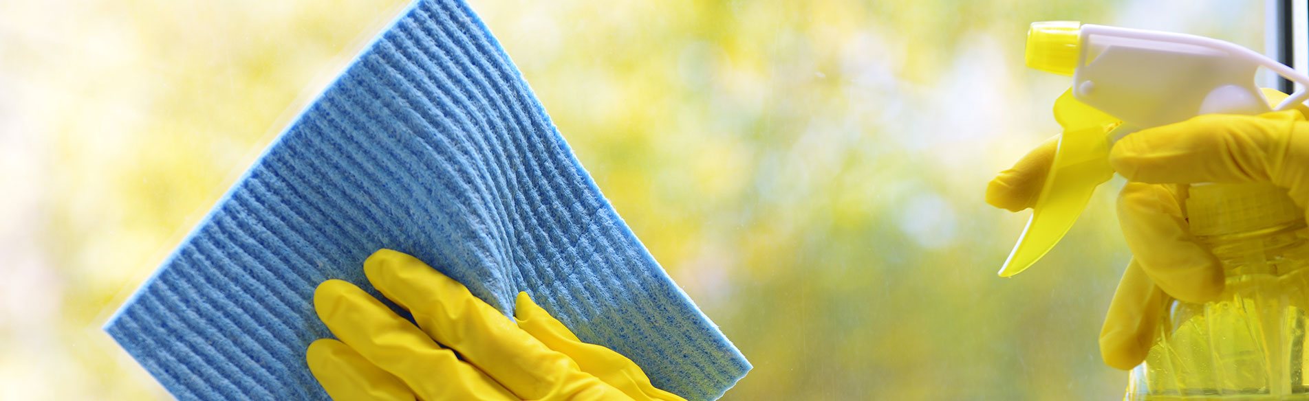 Islington Carpet Cleaning